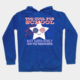 I'm too cool for school but definitely not for fireworks Hoodie